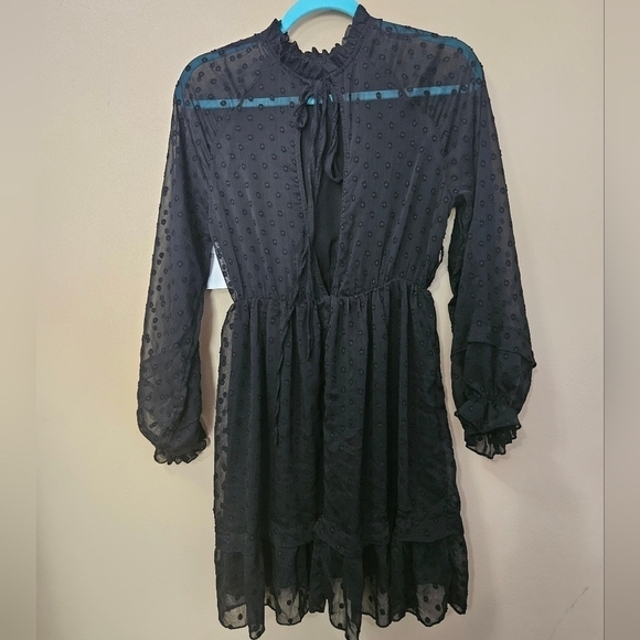 NWT Amour OC High Neck Wednesday Longsleeve Dress Women Size S Black Swiss Dot - Picture 2 of 4